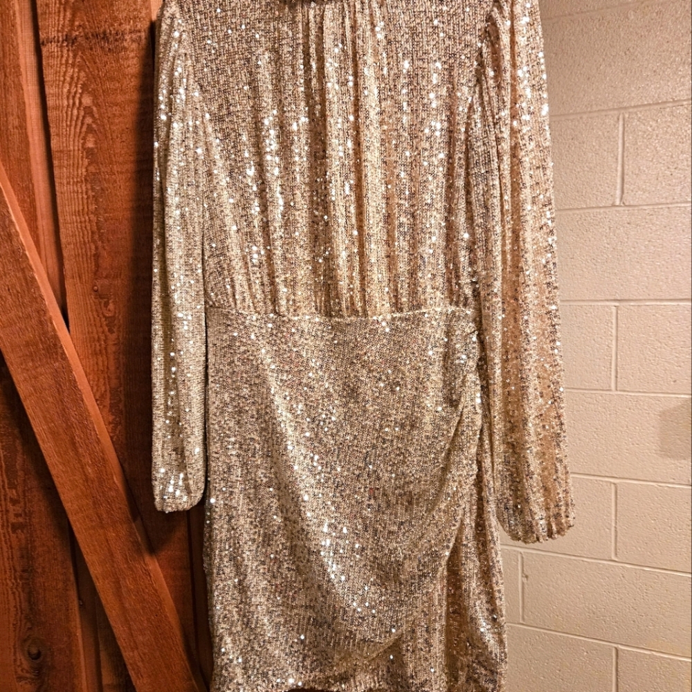 Beautiful like brand new sequin dress. Size small. Nine West